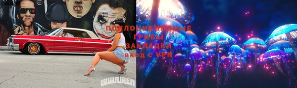 индика Михайловка