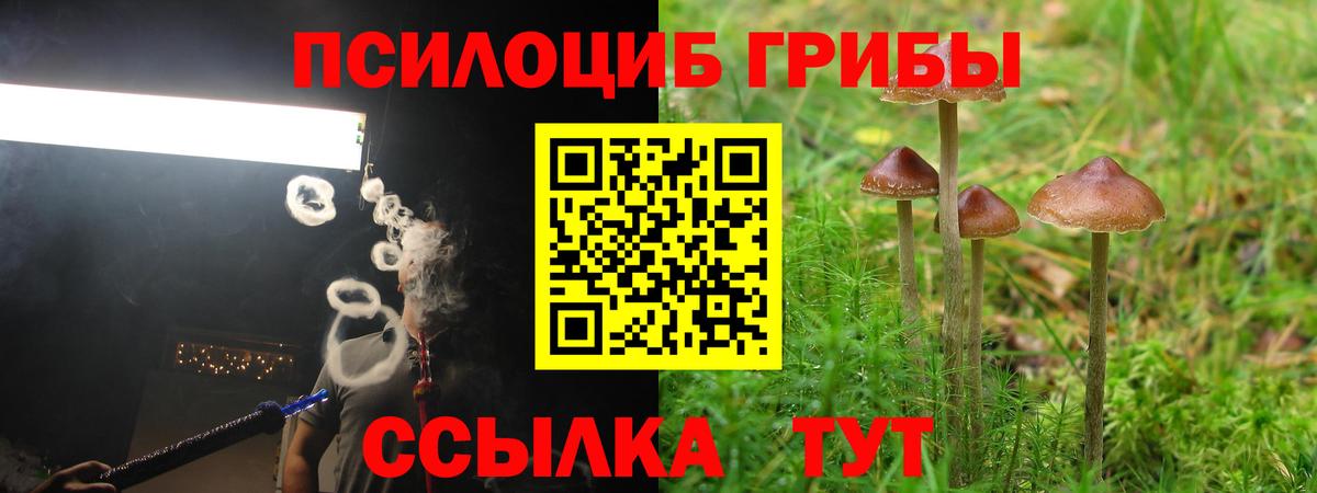 Кстово  Псилоцибиновые грибы прущие грибы  Вход с VPN  Галлюциногенные грибы MAGIC MUSHROOMS 