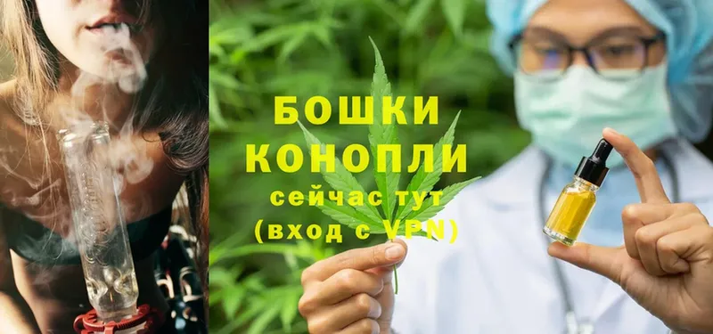 Бошки марихуана THC 21%  хочу наркоту  мега рабочий сайт  Кстово 